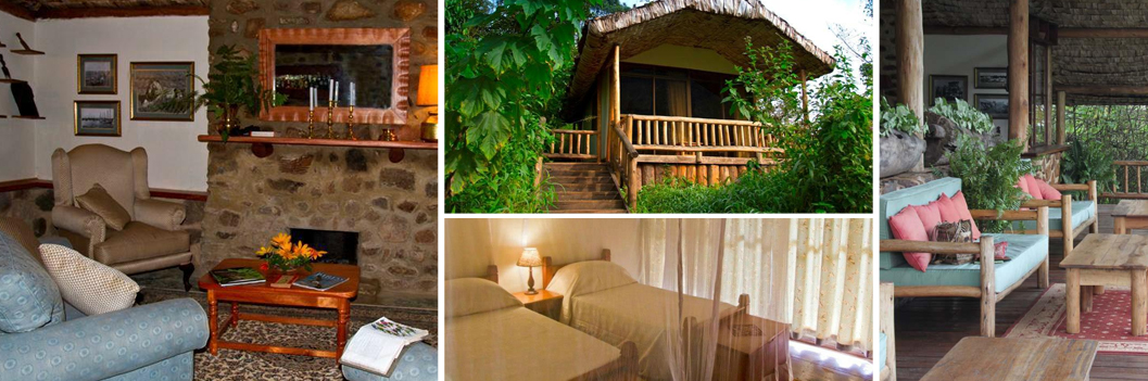 engagi-lodge-accommodation-in-bwindi-np-uganda
