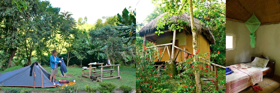 nshongi-camp-budget-accommodation-in-bwindi-np
