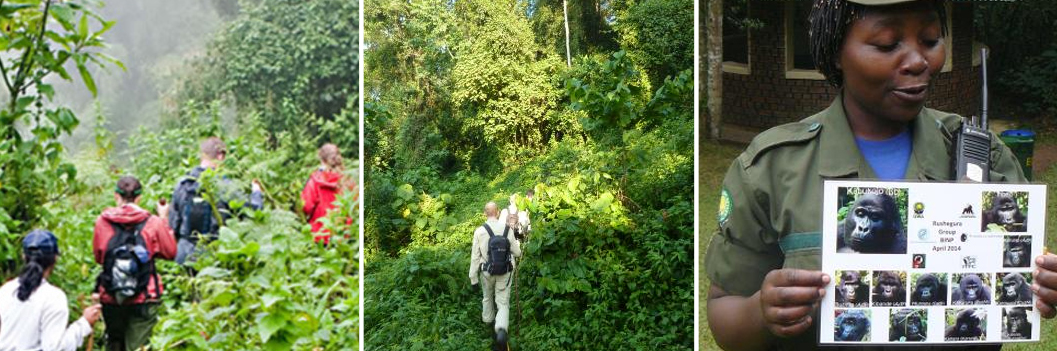 5 Days Jinja Bungee Jumping and Gorilla Trekking Safari