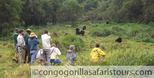 7 days Congo gorilla safari & mount Nyiragongo hiking tour
