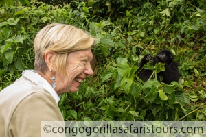 9 days gorilla trekking safari in Uganda & Mount Nyiragongo hiking tour Congo 