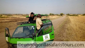 10 days Uganda gorilla trekking safari & Mount Nyiragongo hiking tour Congo