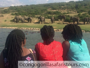 9 days gorilla trekking safari in Uganda & Mount Nyiragongo hiking tour Congo 